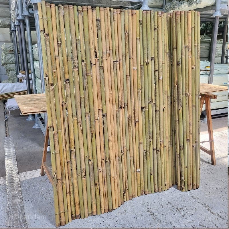 canisse en bambou pour toit de pergola