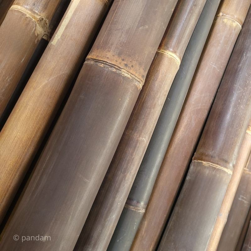 Tige de bambou noire - marron 1 à 4 mètres