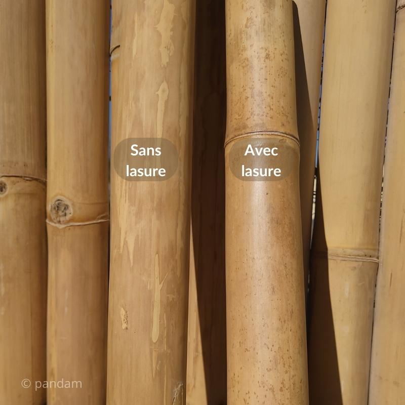 protection du bambou