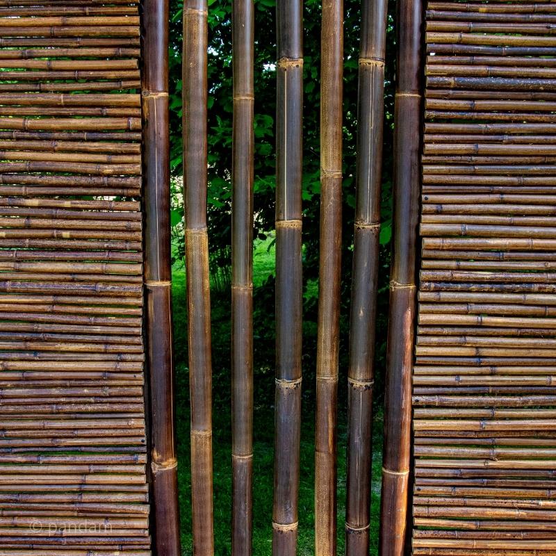 Clôture en Bambou Brise Vue Noire