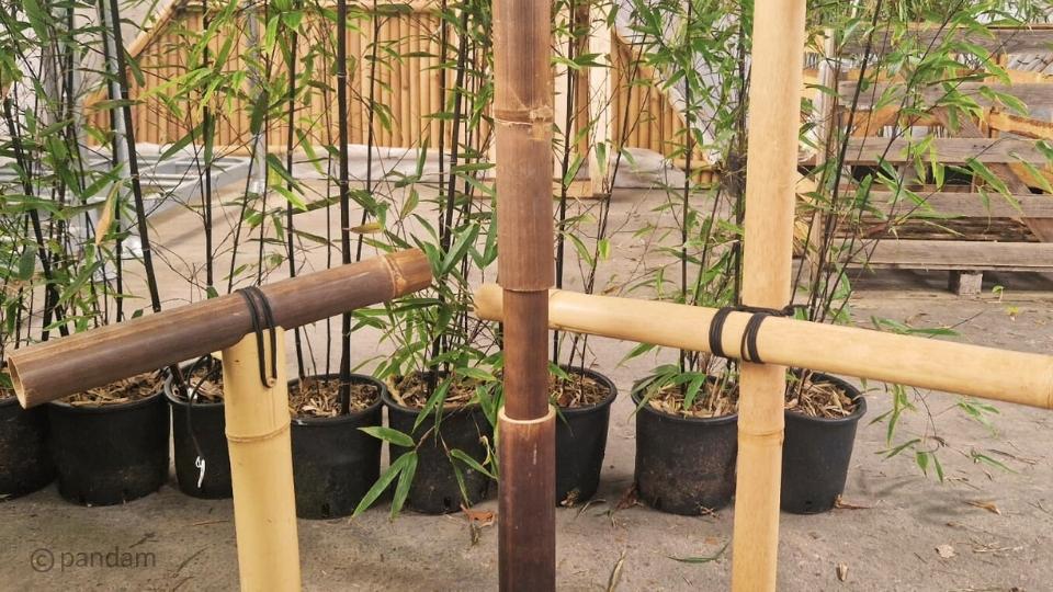 Comment assembler des bambous ? 5 Techniques Illustrées