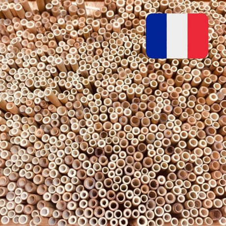 Pailles en bambou 100% made in France (Bambou français !)