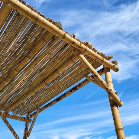 Pergola en bambou