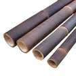 Tige de bambou noire