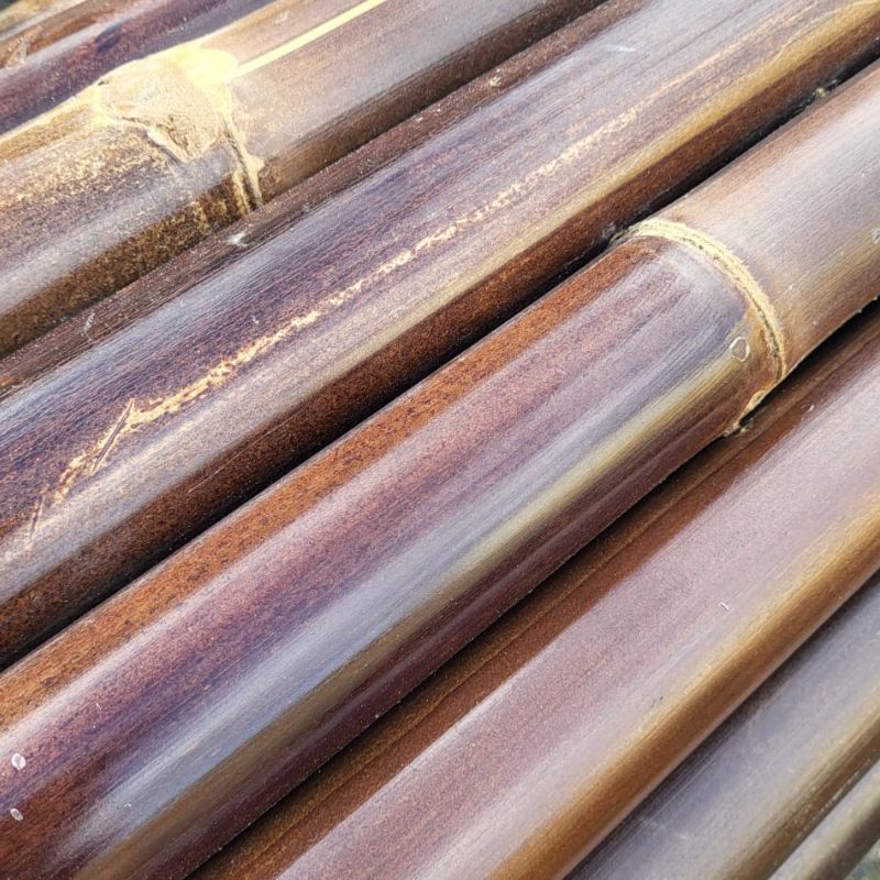 clôture en bambou naturel gros diamètre