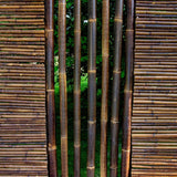Clôture en Bambou Brise Vue Noire