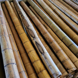 tige de bambou occasion