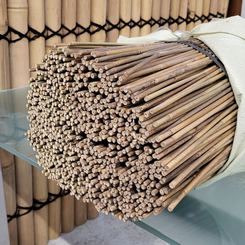 tuteur en bambou 60 cm