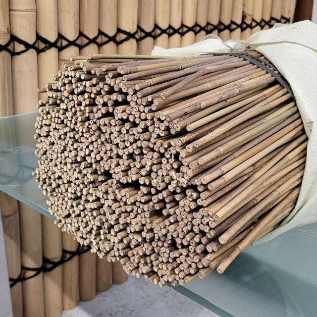 tuteur en bambou 60 cm