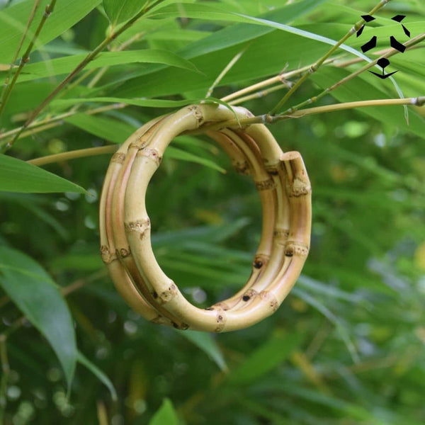 Bracelet en Bambou (Rhizomes) | Bijou en Bambou | Pandam