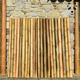 Cloture en bambou gros diamètre