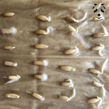 Germination de graines de bambou Thyrostahys siamensis