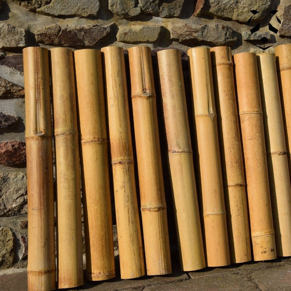 Vous pouvez commander les chutes de cannes de bambou sec directement sur notre site de vente de tronçon de bambou sec Pandam.