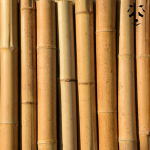Les chutes de tronçons de bambou sec font 60 cm de longueur.